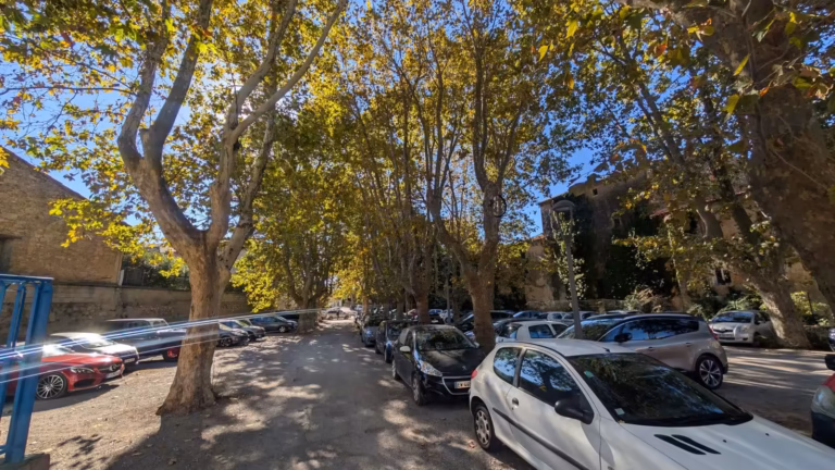 Allée de platanes et voitures stationnées sur l'esplanade à Poussan