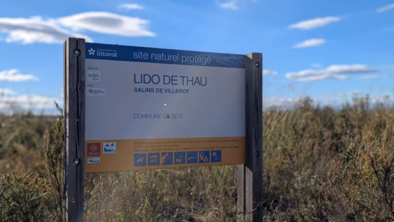 Panneau « Site naturel protégé, Lido de Thau, Salins de Villeroy »
