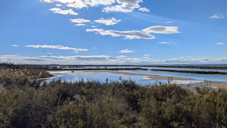 Bassins des Salins de Villeroy sous un ciel nuageux