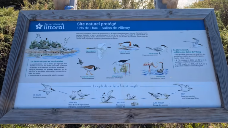 Panneau des oiseaux du site naturel protégé des Salins de Villeroy