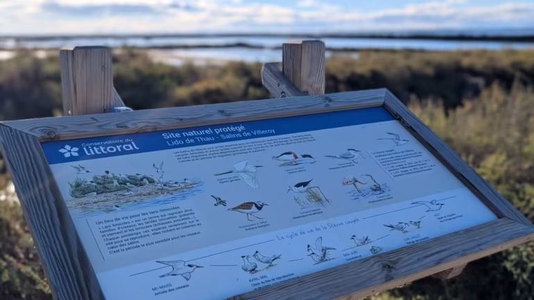 Panneau d'observation des oiseaux face aux bassins