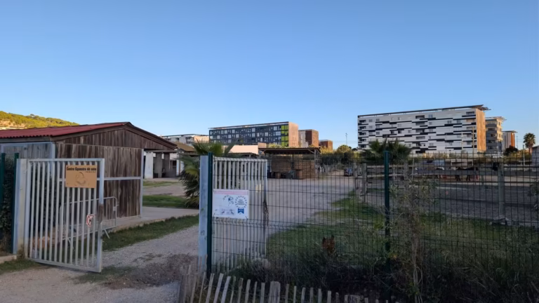 Enclos et bâtiments en bois du centre équestre