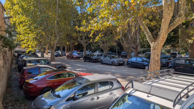 Rangée de voitures stationnées sous les platanes du parking du Foyer des Campagnes