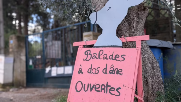 Pancarte rose « Balades à dos d'âne ouvertes »