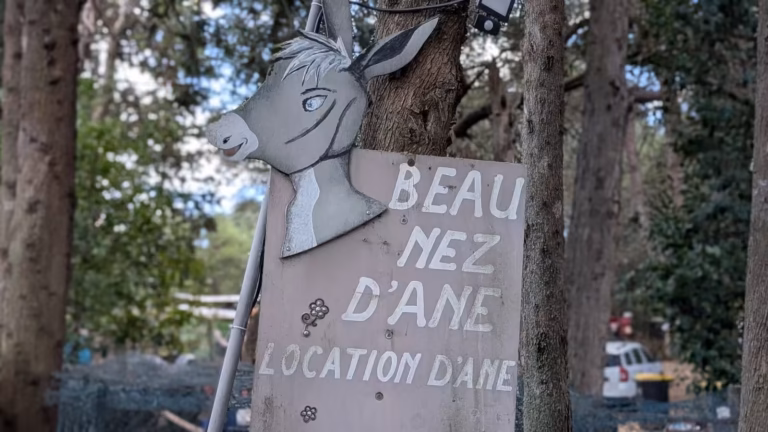 Tête d'âne en bois et panneau « Beau Nez d'Âne, location d'âne »