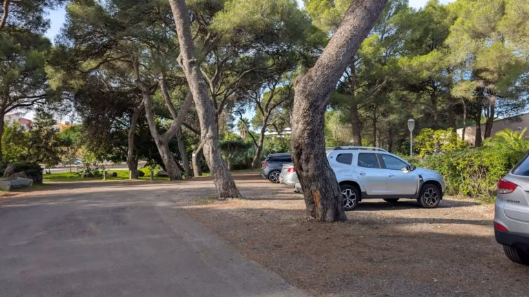 Parking ombragé de pins à côté de l'église Saint-Benoît