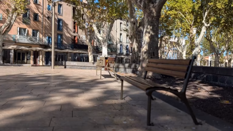 Banc et platanes de la Promenade d'Agde