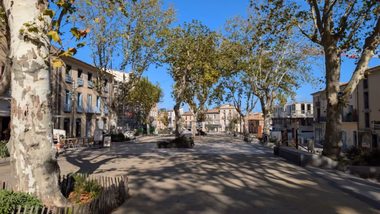 Place du Jeu de Ballon ombragée de platanes