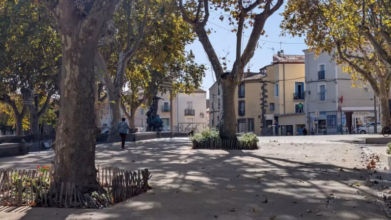 Platanes et massifs de la place du Jeu de Ballon
