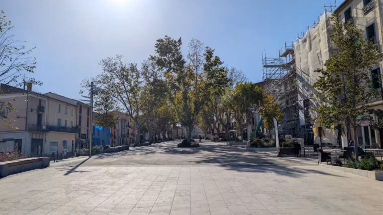 Esplanade dallée et arbres au bout de la Promenade
