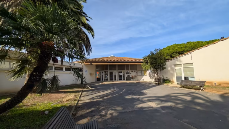 Cour d'entrée et palmiers devant l'école maternelle Jules Verne