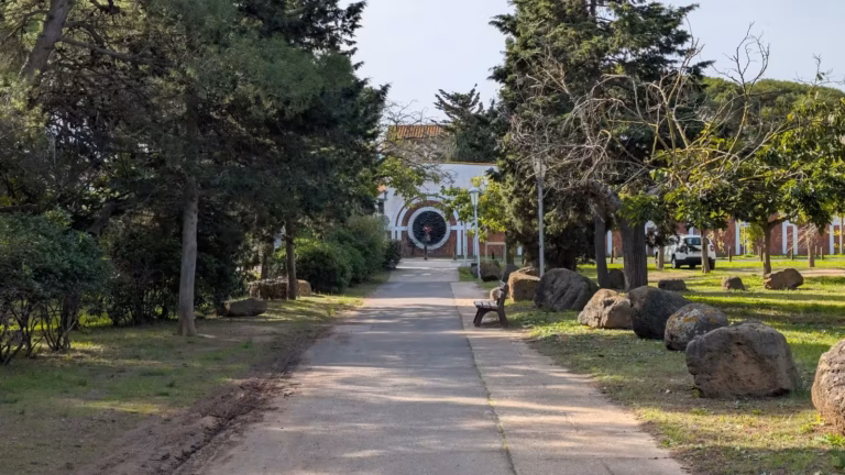 Allée René Cabanes, chemin piéton bordé d'arbres et de blocs de basalte