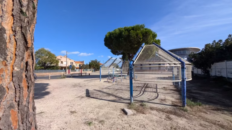 Espace extérieur ombragé de pins près du collège René Cassin