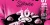 10ᵉ Bourse Vinyles Sétoise – by Chichois Production