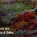 Ici7-Article-Plan-Marches-Sete.jpg