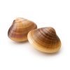 Ici7-Ingredient-Palourdes