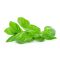 Ingredient-Ici7-Basilic
