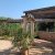 Jardin Antique Méditerranéen - JAM Balaruc les Bains