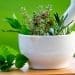 Meilleur-Naturopathe-a-Sete.jpg