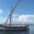 Mise-a-leau-de-lAlbatros-Association-Voile-Latine.jpg