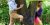 Ici7 V2 6a24084dbf0cf Capture 1780746317 0 1780747425 0610d6c9