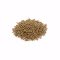 Petit tas de graines de cumin entières brun vert sur fond blanc