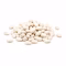 Petit tas de haricots coco secs blancs sur fond blanc