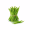 Botte de haricots verts frais et croquants sur fond blanc