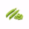 Gousses de petits pois ouvertes et pois verts écossés sur fond blanc
