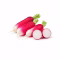 Radis roses entiers et un radis coupé sur fond blanc