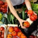 Marché du mercredi et du dimanche à Vic-la-Gardiole
