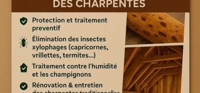 Sylvain D - Traitement Charpentes