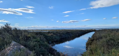Canal bordé de végétation dans les Salins de Villeroy